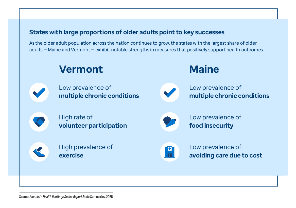 Graphic representation of States with large proportions of older adults key successes information contained on this page. Download the full report PDF from the report Overview page for details.