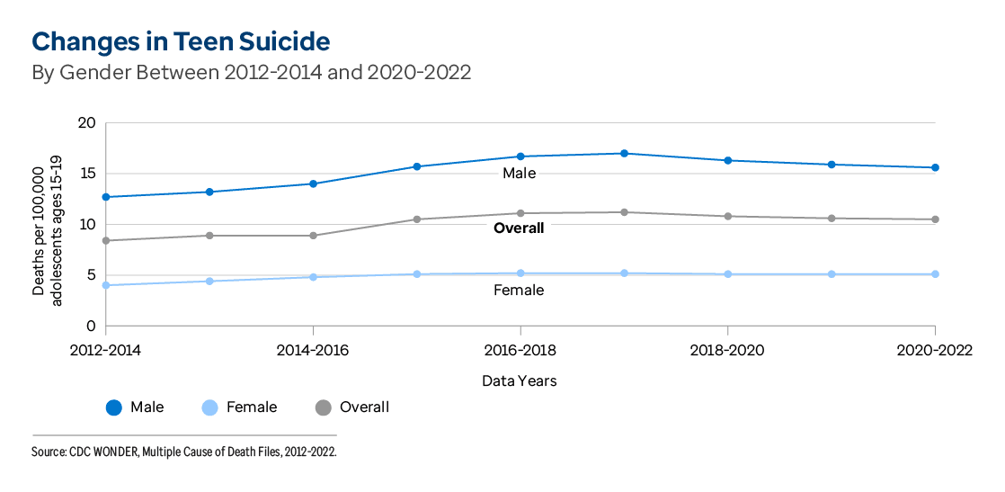 Graphic representation of Changes in Teen Suicide information contained on this page. Download the full report PDF from the report Overview page for details.