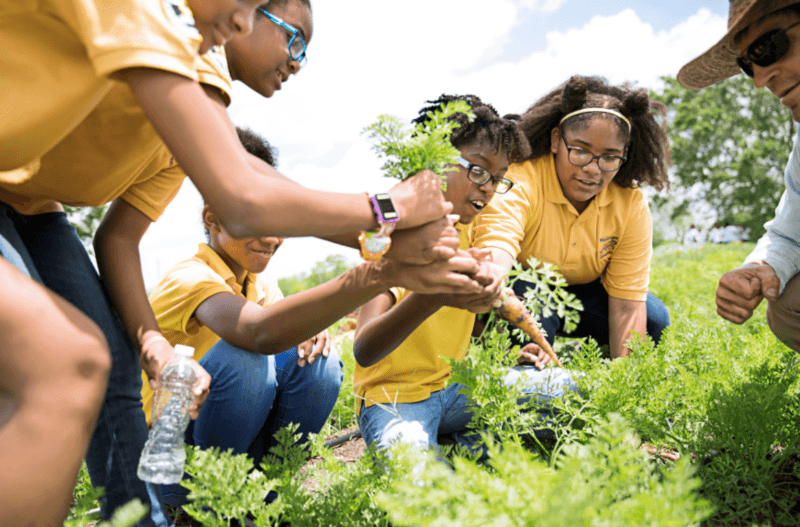takeaction_gardening